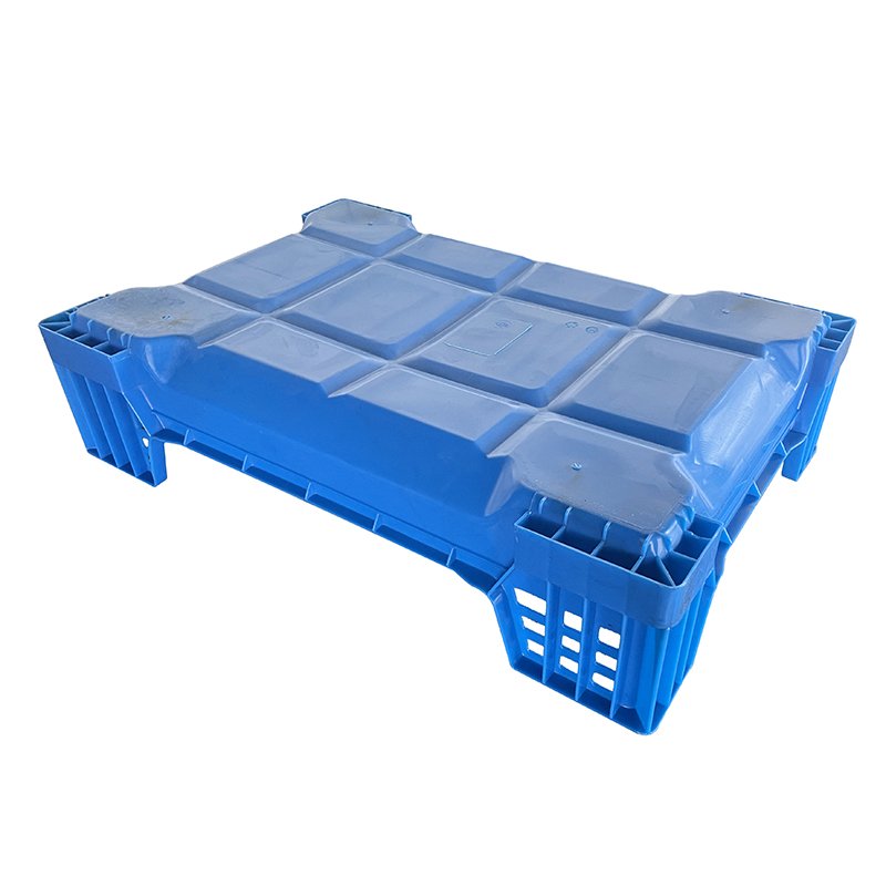 insect breeding tray