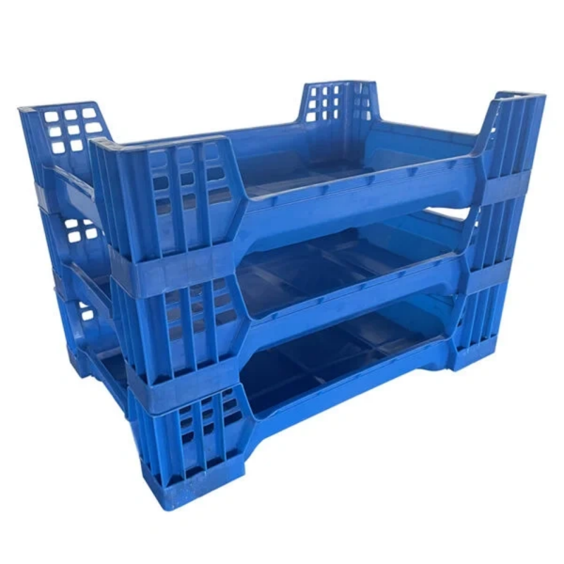 Insect Breeding Box