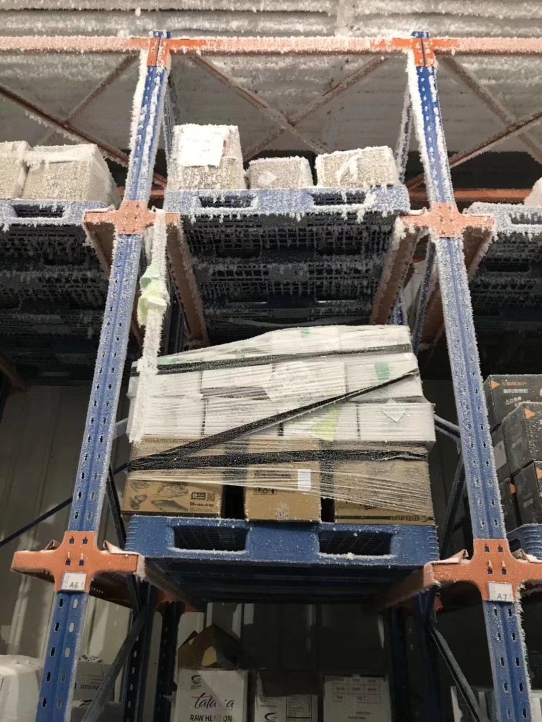 Cold chain facility with hygienic plastic pallets