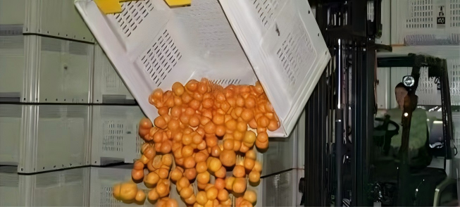 Vented pallet box for agriculture and fresh produce