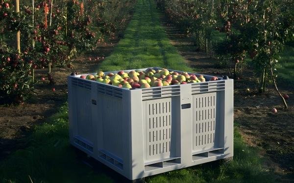 Food grade rigid plastic pallet box for agricultural harvest