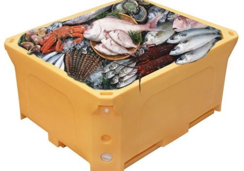insulated fish boxs