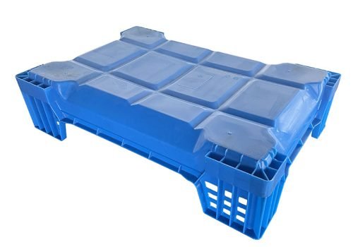 mealworm breeding box
