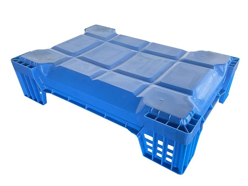 insect breeding tray